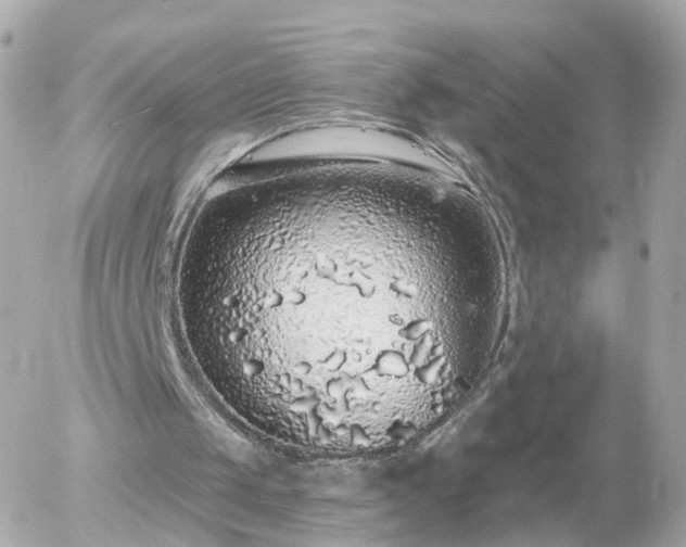 X0000056030049200508261917