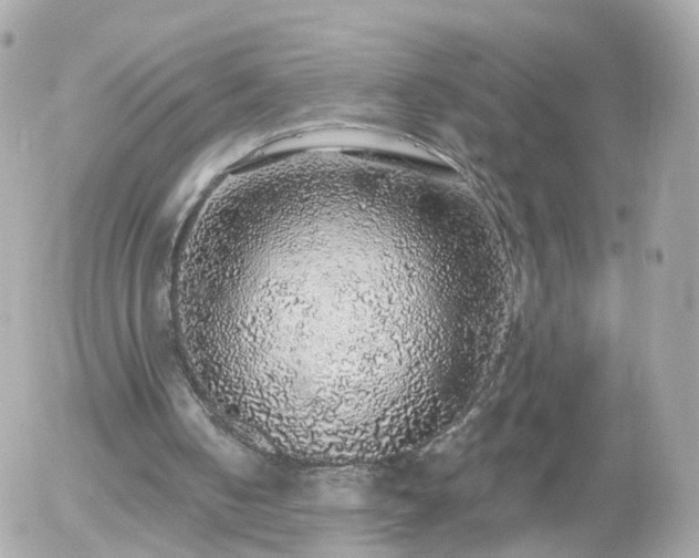 X0000056030050200508261917