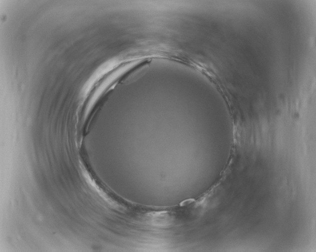 X0000056030054200508261917