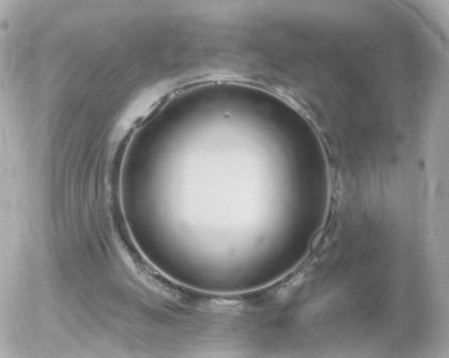 X0000056030055200508261917