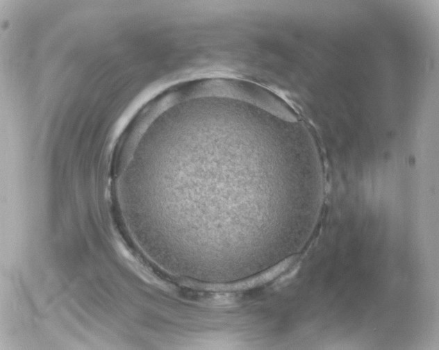 X0000056030056200508261917