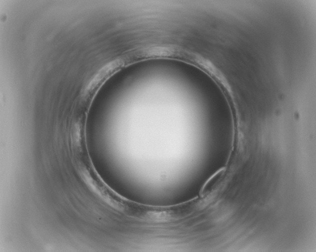 X0000056030057200508261917