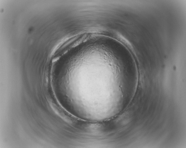 X0000056030059200508261917