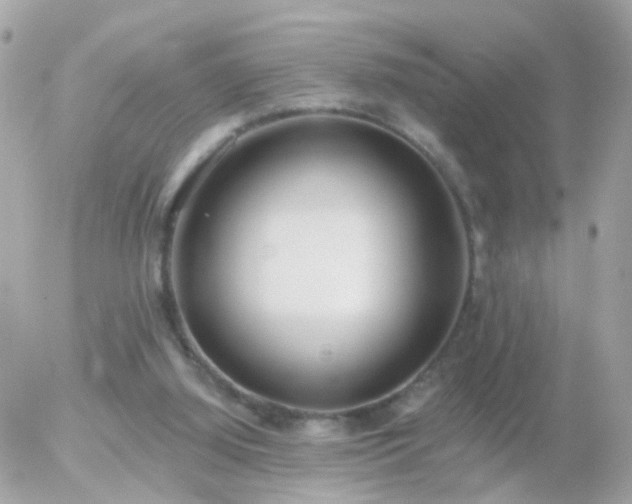 X0000056030060200508261917