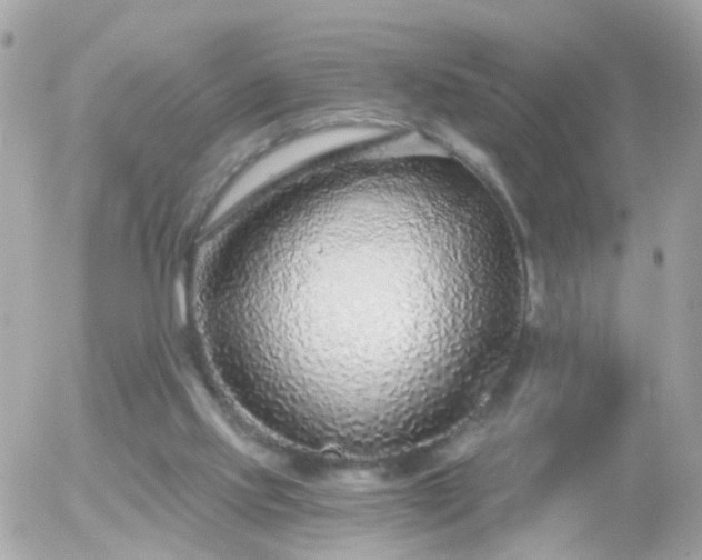 X0000056030061200508261917