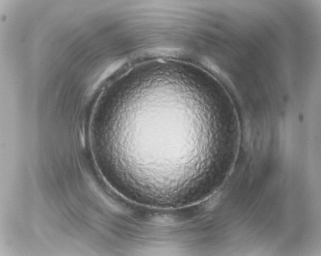 X0000056030062200508261917