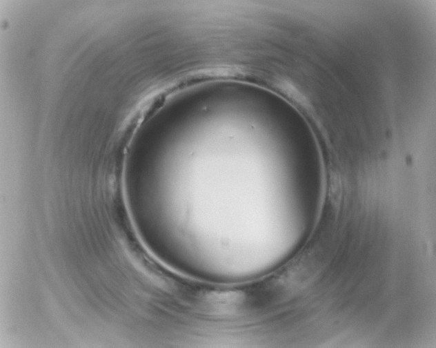 X0000056030063200508261917