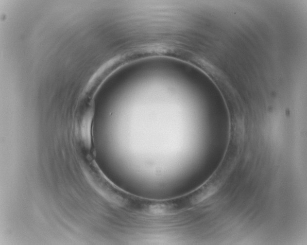 X0000056030064200508261917