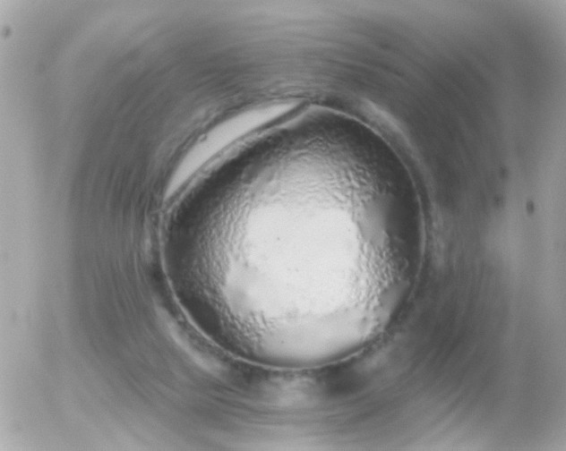 X0000056030065200508261917