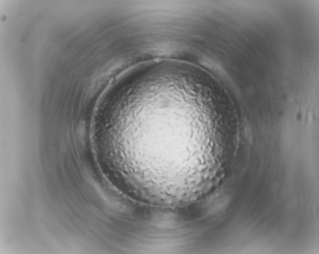 X0000056030066200508261917