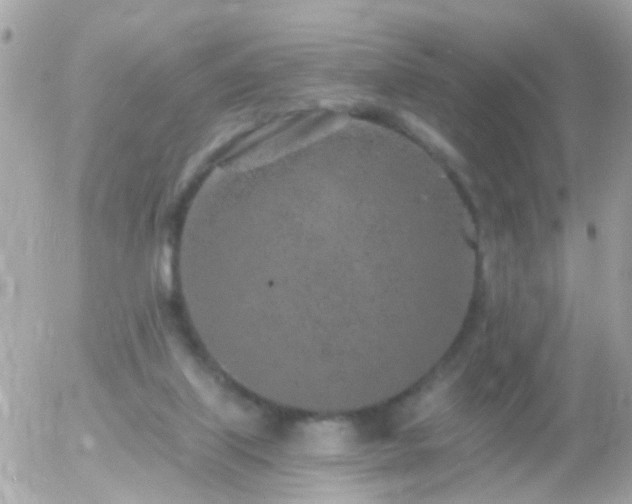 X0000056030067200508261917