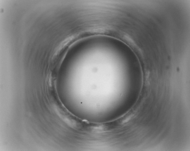 X0000056030068200508261917