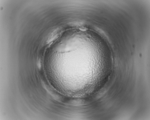 X0000056030069200508261917