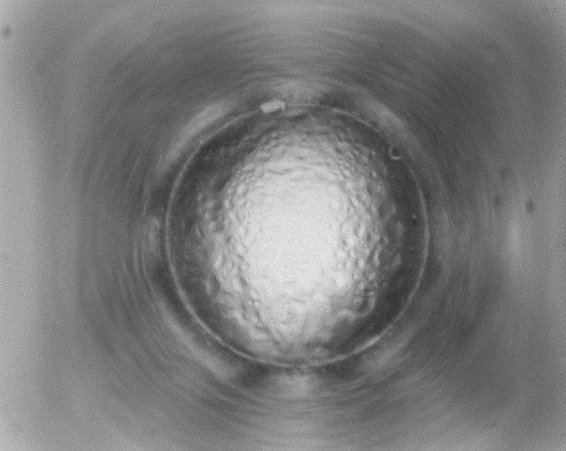 X0000056030071200508261917