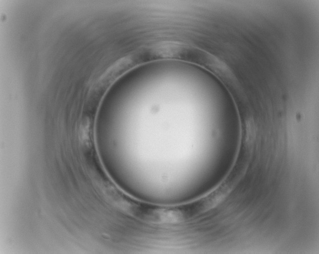 X0000056030073200508261917