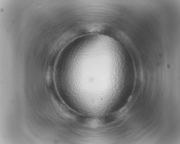 X0000056030074200508261917