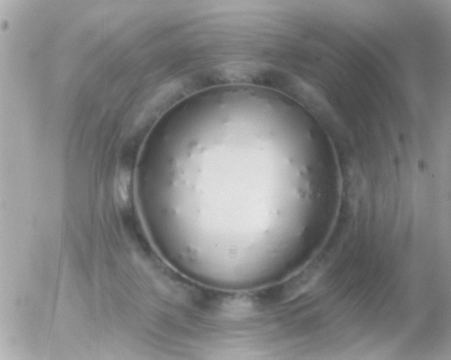 X0000056030075200508261917