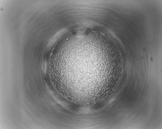 X0000056030076200508261917