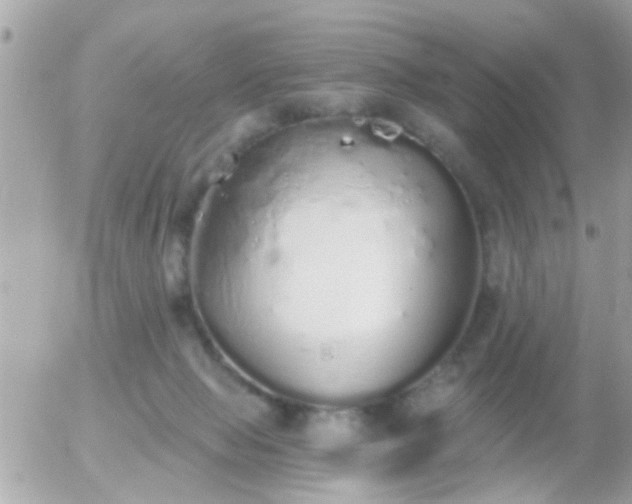 X0000056030077200508261917