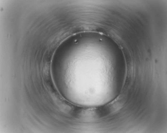 X0000056030078200508261917