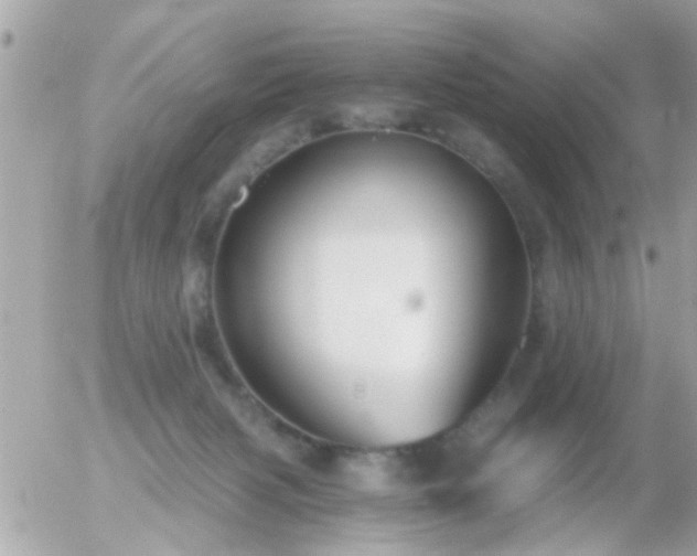 X0000056030079200508261917