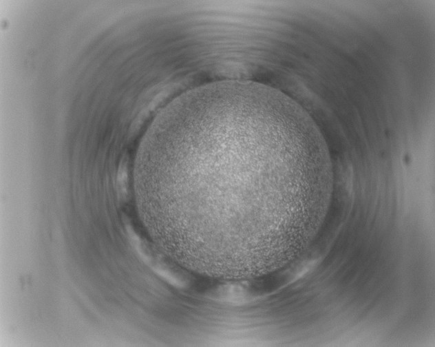 X0000056030080200508261917