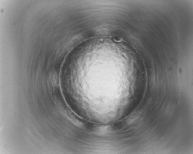 X0000056030081200508261917