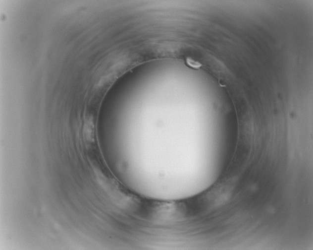 X0000056030083200508261917