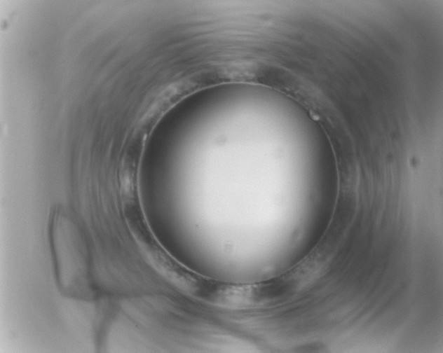 X0000056030084200508261917