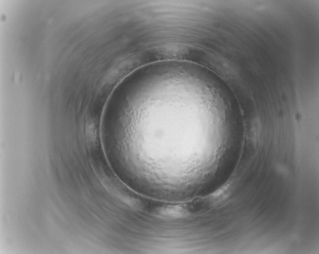 X0000056030086200508261917