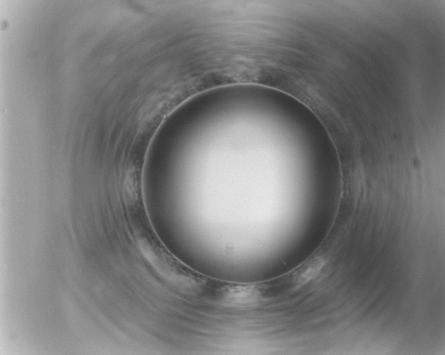 X0000056030088200508261917