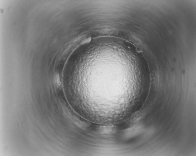 X0000056030089200508261917