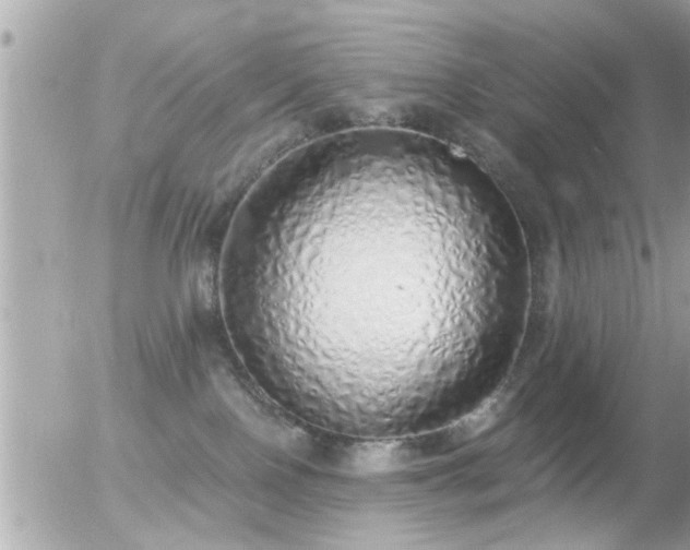 X0000056030090200508261917