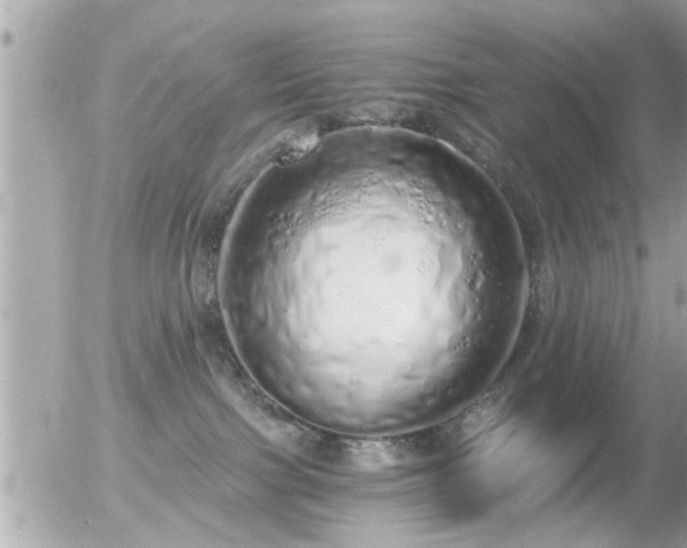 X0000056030091200508261917