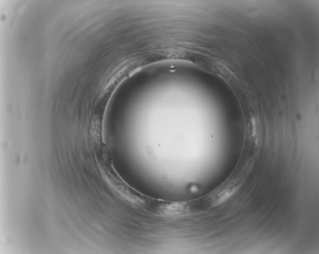 X0000056030092200508261918