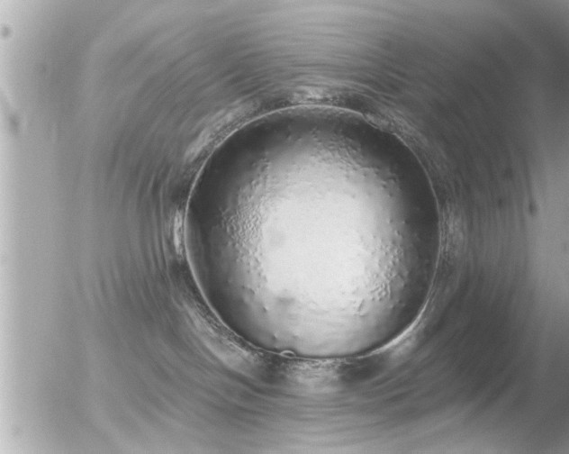 X0000056030094200508261918