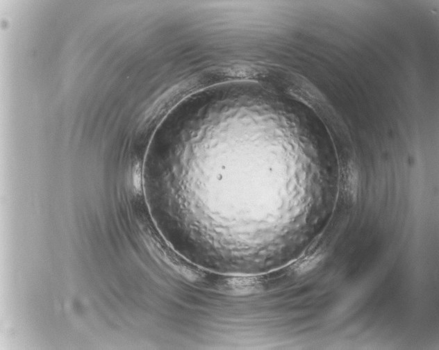 X0000056030095200508261918