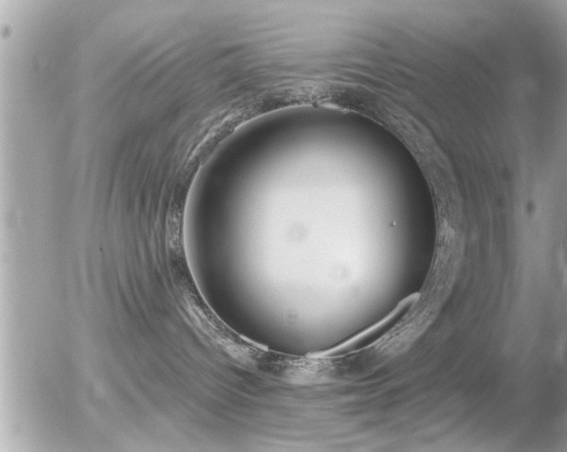 X0000056030096200508261918