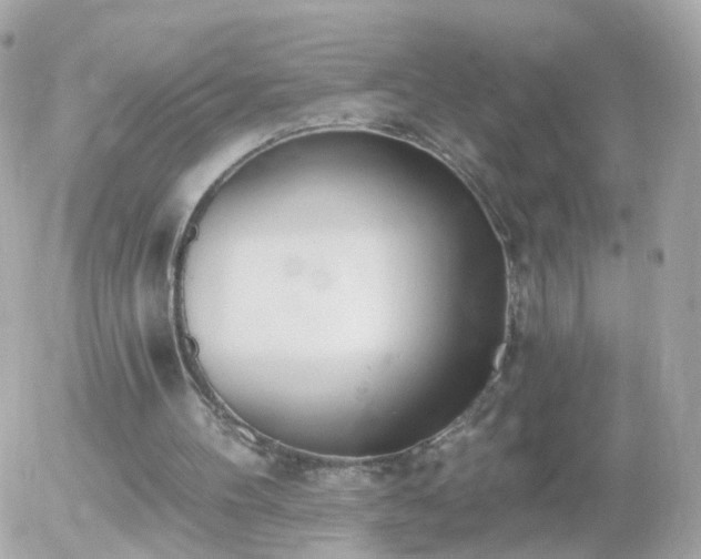 X0000056030100200508261917