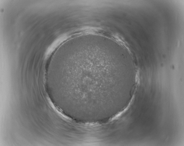 X0000056030101200508261917