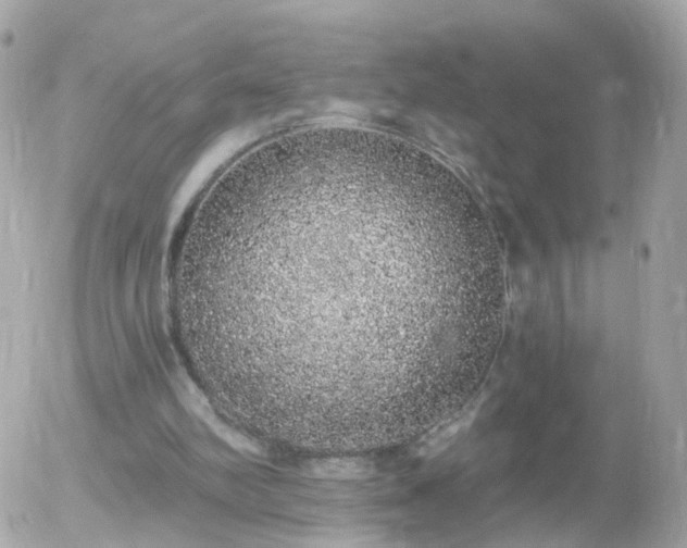 X0000056030102200508261917