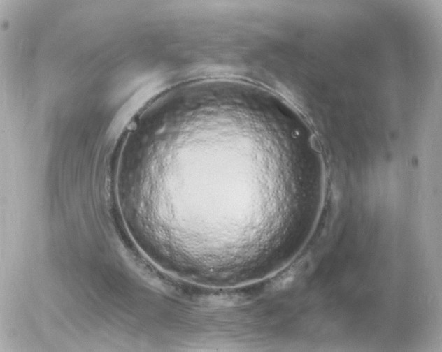 X0000056030103200508261917