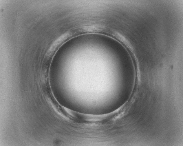 X0000056030105200508261917