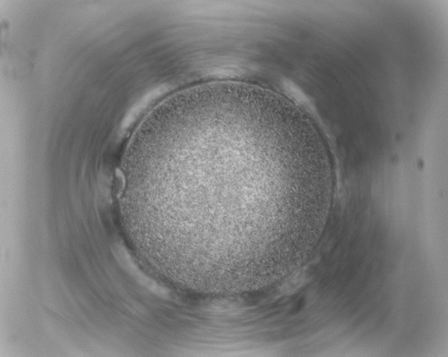 X0000056030106200508261917