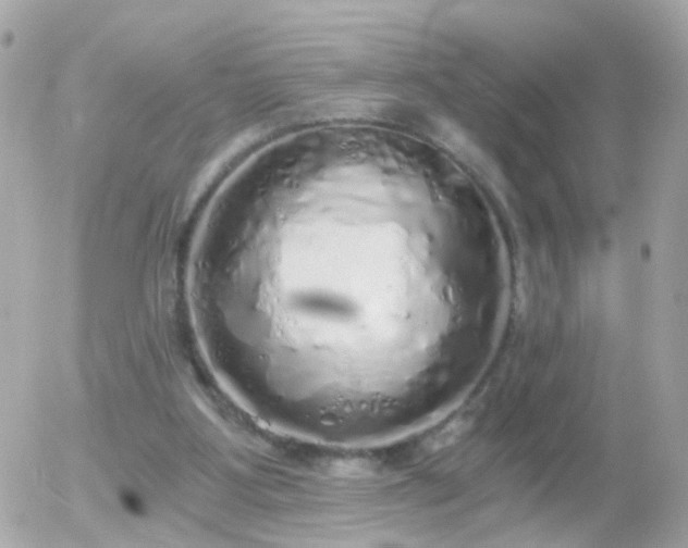 X0000056030107200508261917