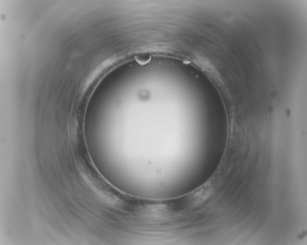 X0000056030108200508261917