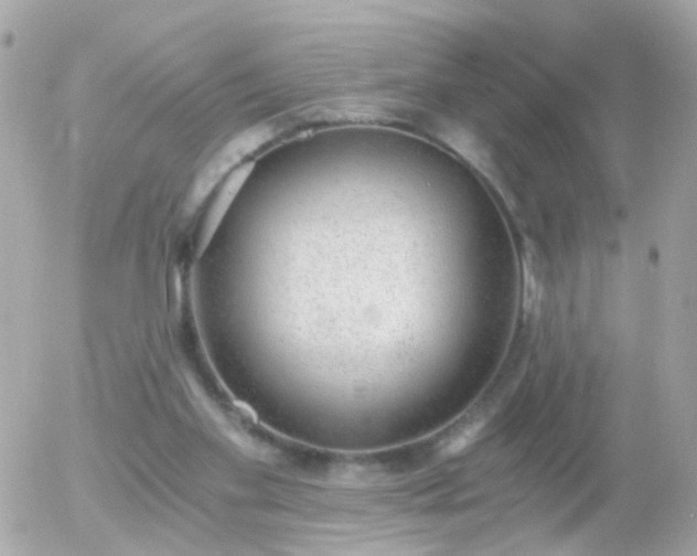 X0000056030109200508261917