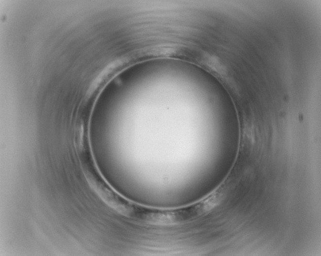 X0000056030110200508261917