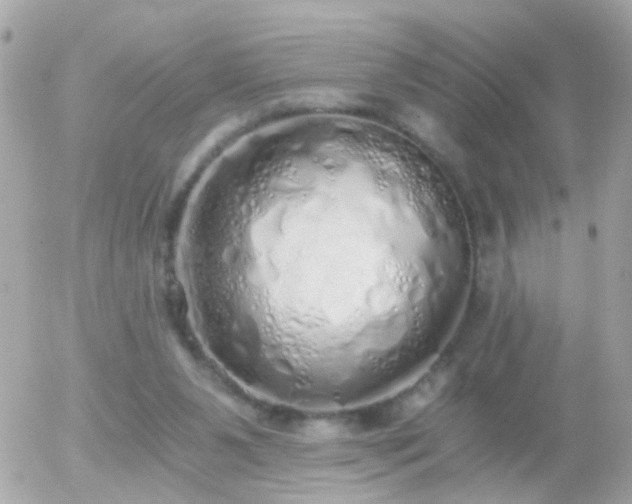 X0000056030111200508261917