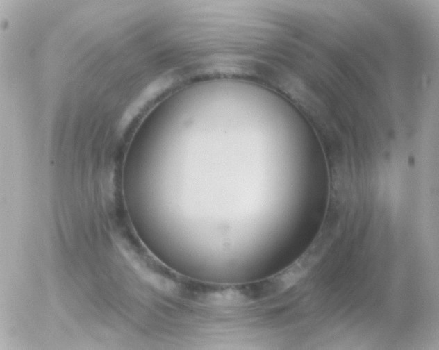 X0000056030112200508261917